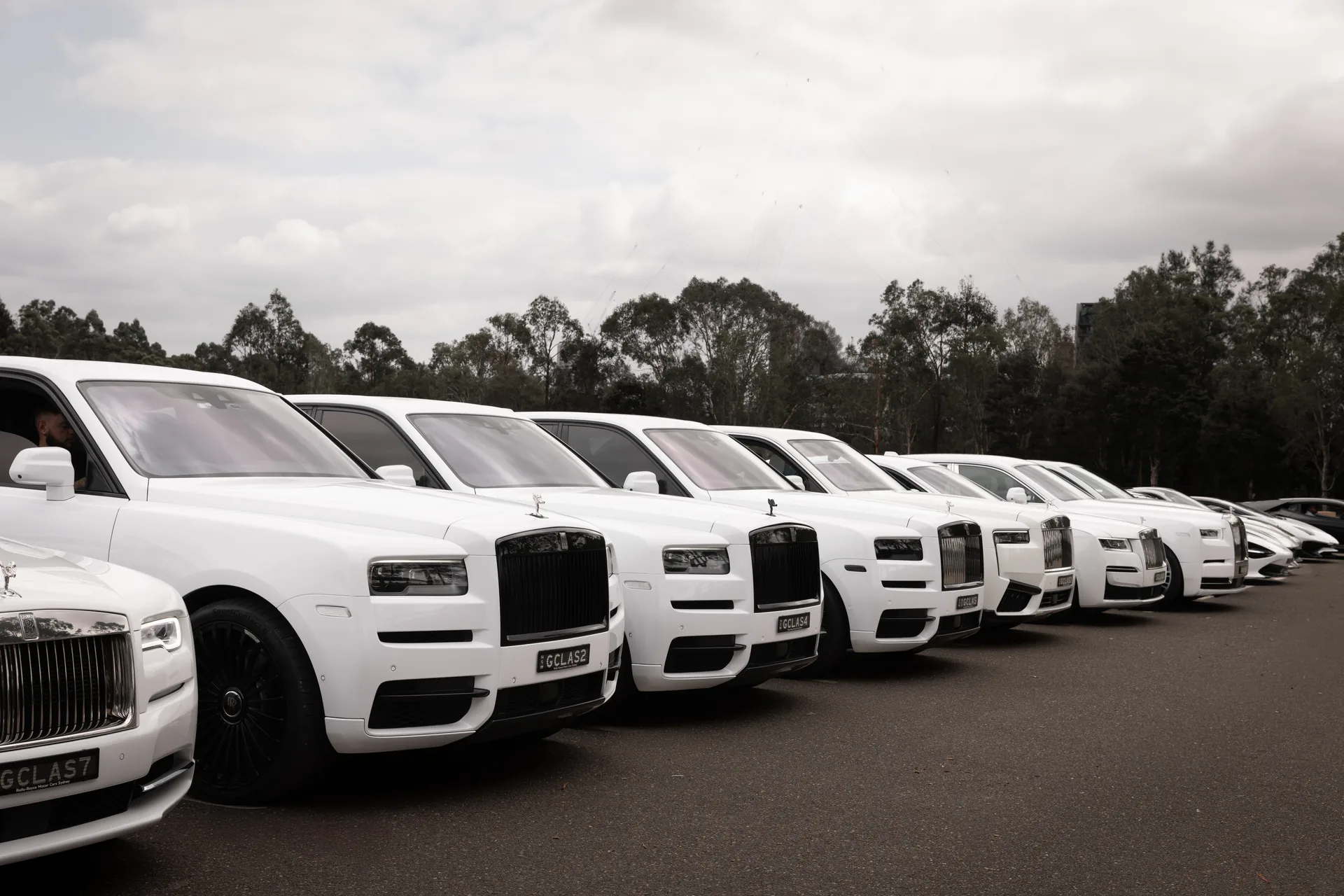 A white luxury wedding car line-up — G Class Hire Sydney