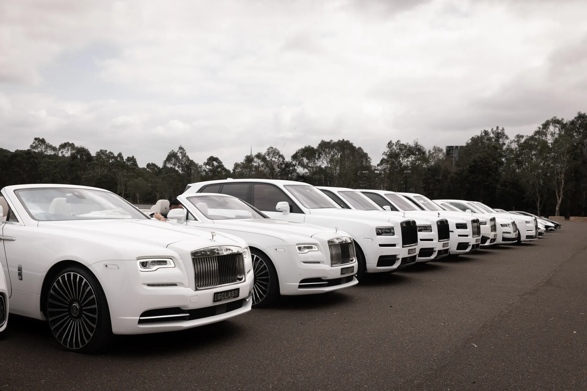 A white luxury wedding car line-up — G Class Hire Sydney