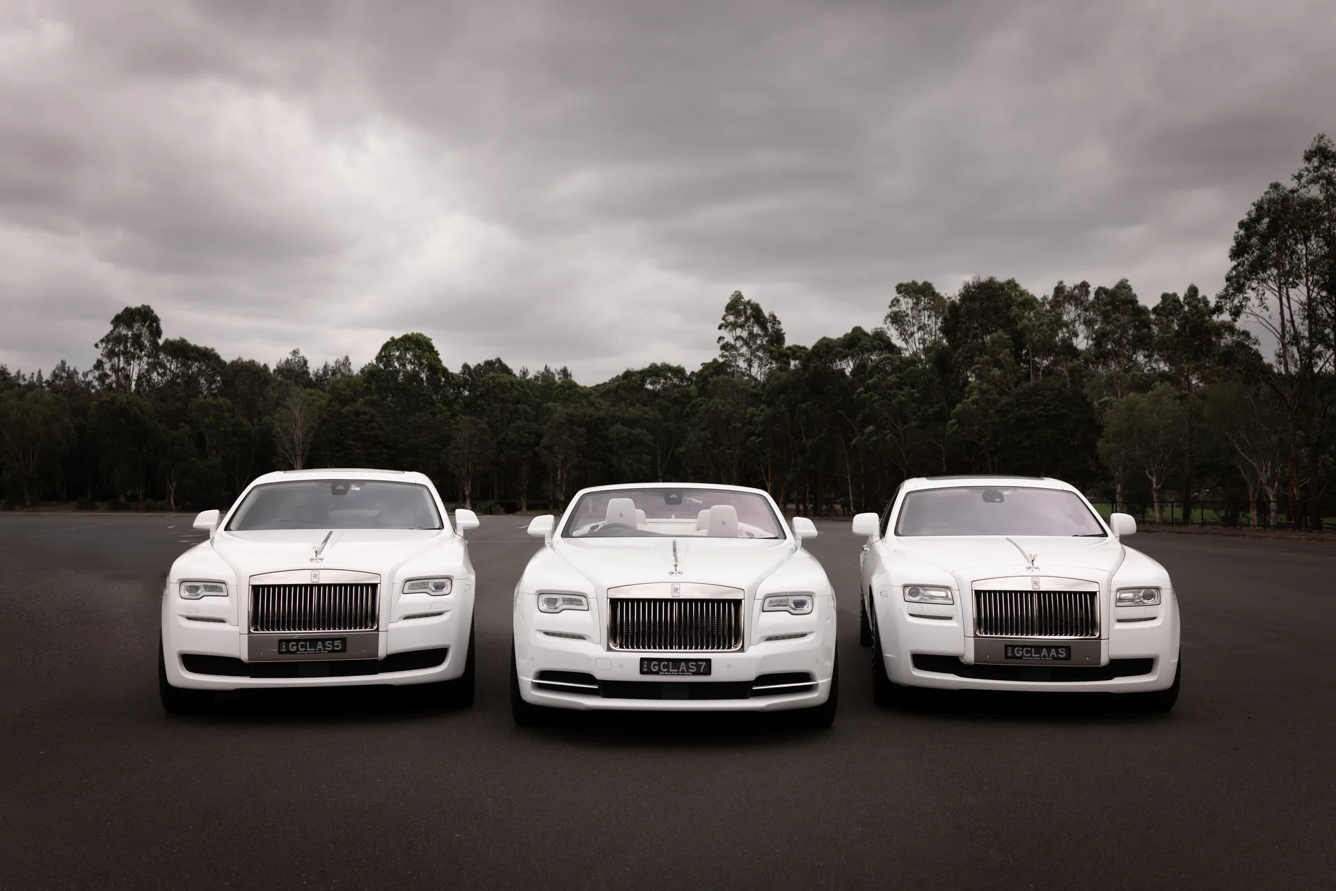 Three white Rolls-Royce wedding cars lined up in Sydney