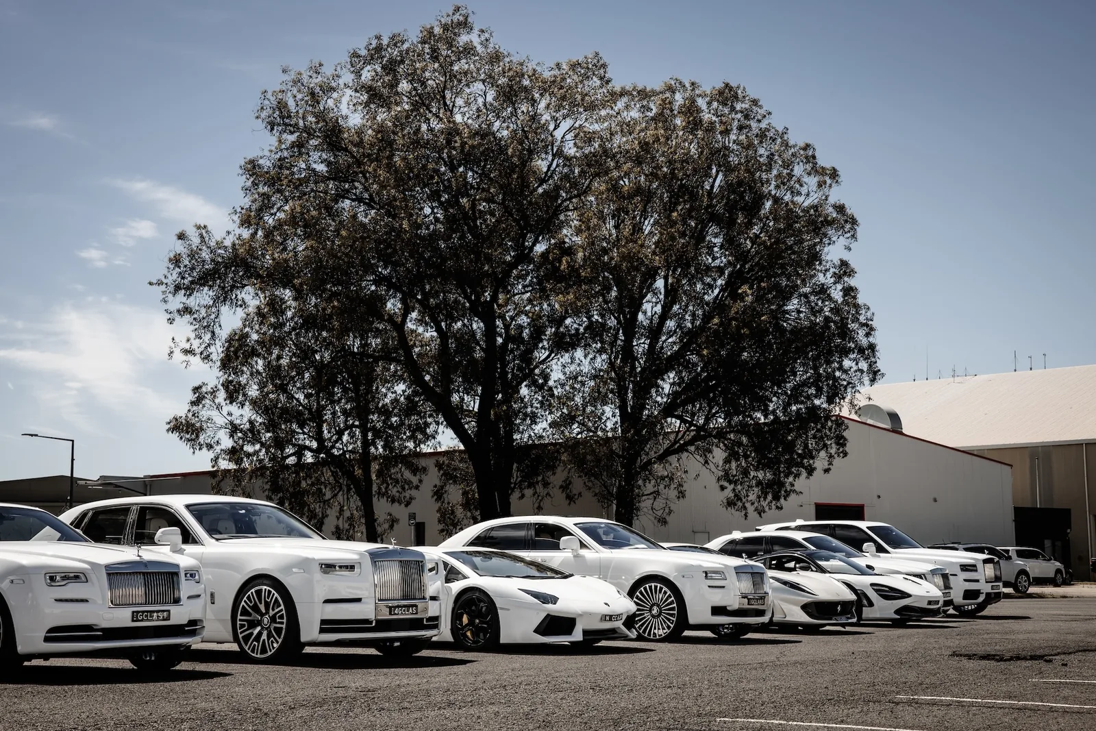 Custom Line-Up
