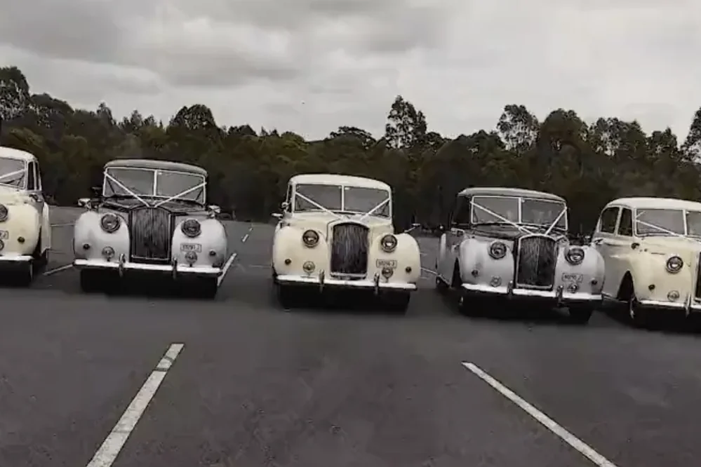 Vintage Line-Up